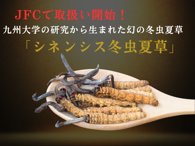 超希少】九州大学の研究技術から開発！大豆培養の「シネンシス冬虫夏草 
